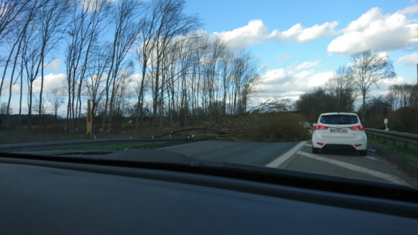IMG-20190310-WA0008